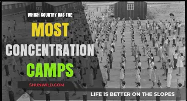 Global Incarceration Crisis: Which Nation Leads in Concentration Camps?
