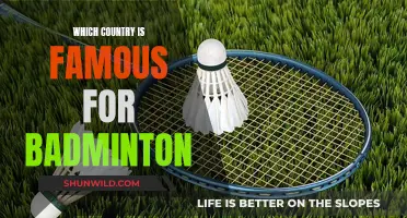 Badminton's Most Successful Countries: A Global Sport