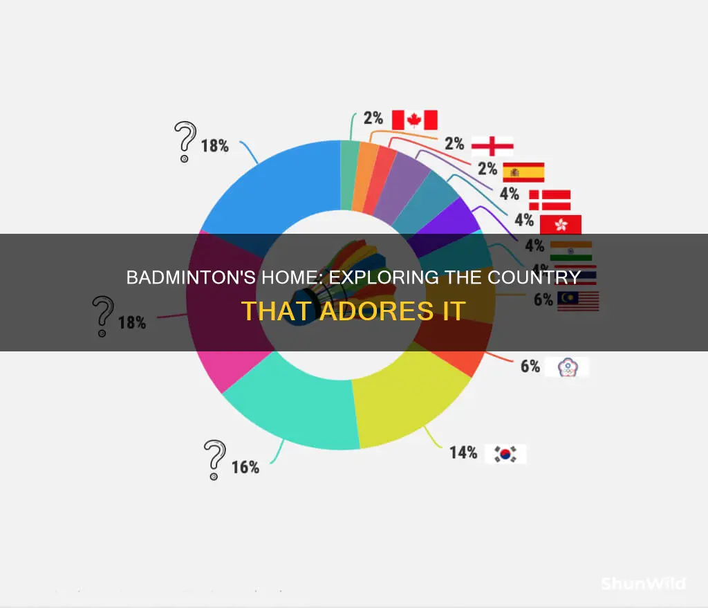 which country national game is badminton