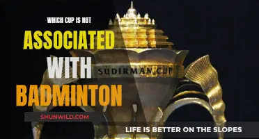 Shuttlecock Secrets: Cups Not Meant for Badminton