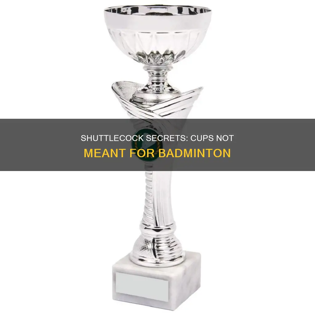 which cup is not associated with badminton