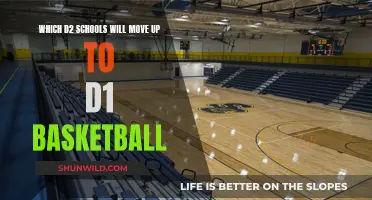 D2 Schools: Who's Moving Up to D1 Basketball?