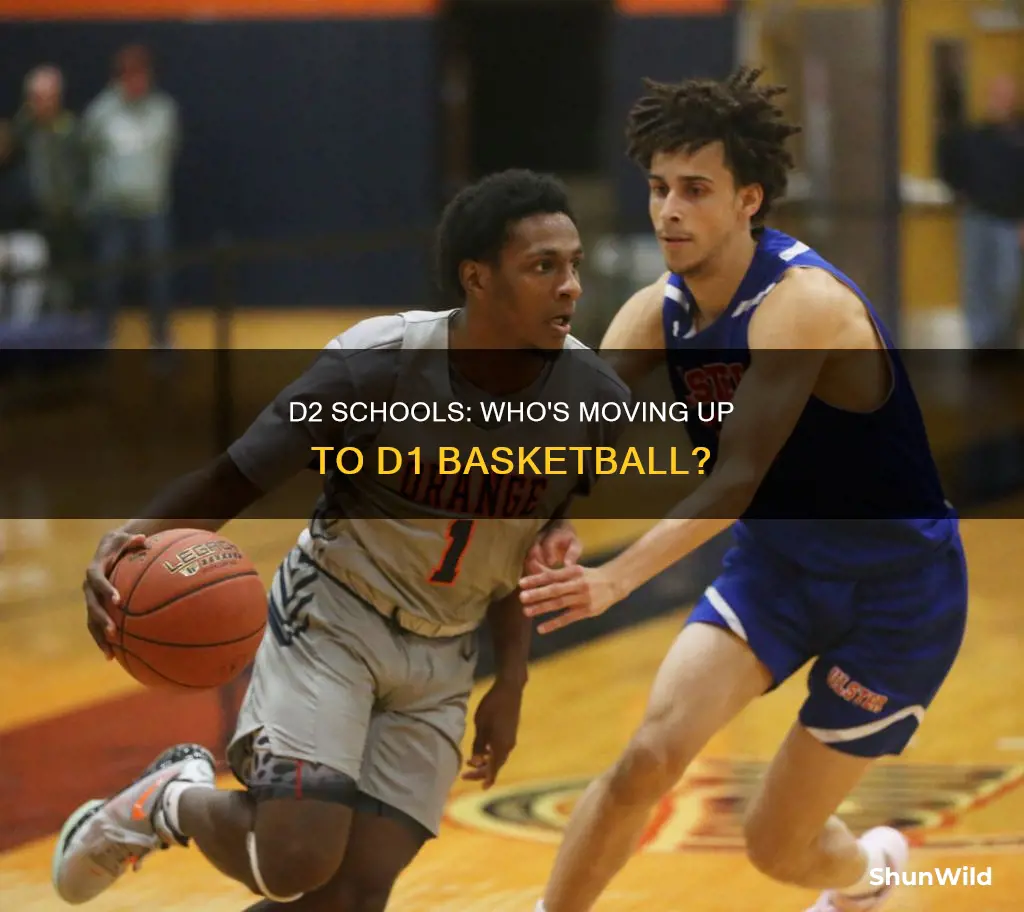 which d2 schools will move up to d1 basketball