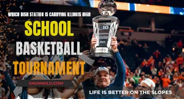 Illinois High School Basketball: Dish Channel and More