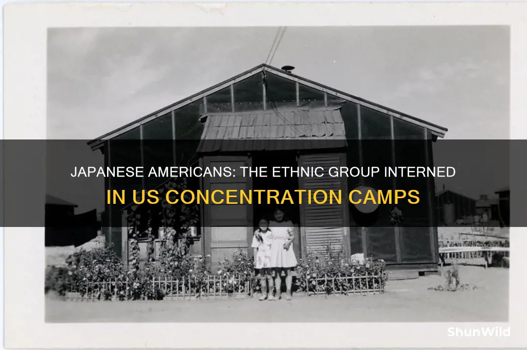 which ethnic group was interned in us concentration camps