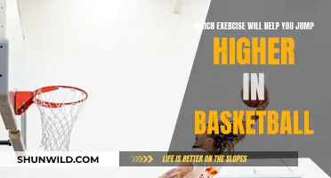 Explosive Exercises to Jump Higher in Basketball