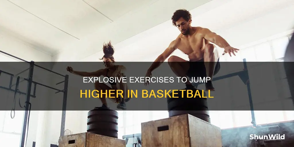 which exercise will help you jump higher in basketball