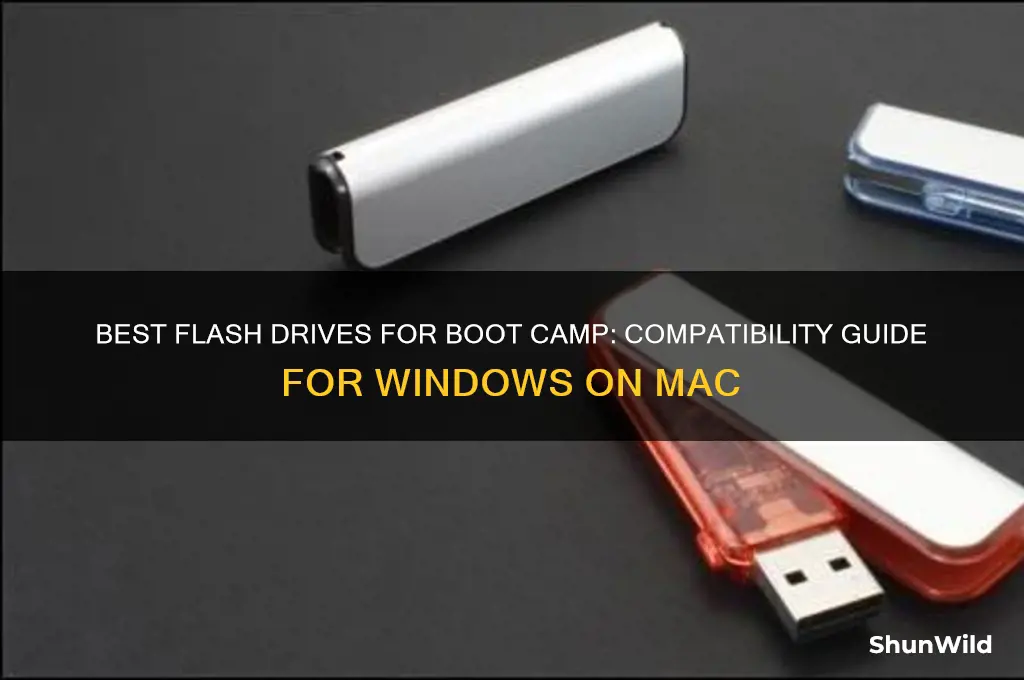 which falsh drives work with boot camp