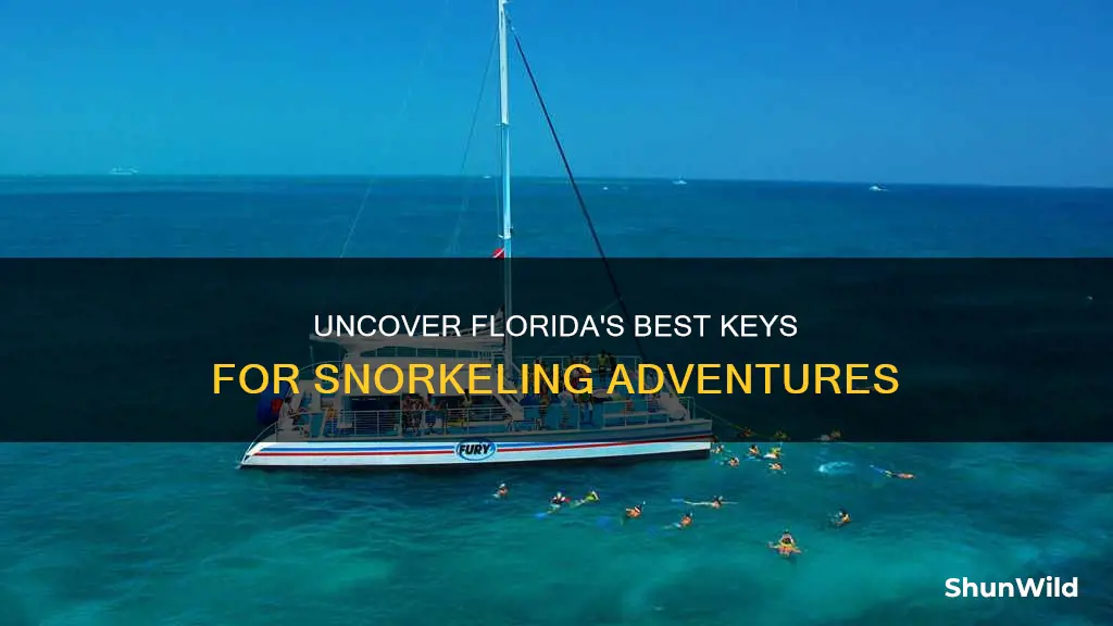 which florida key to rent boat and go snorkeling