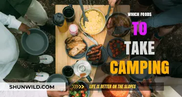 Essential Eats for the Great Outdoors: Camping Food Guide