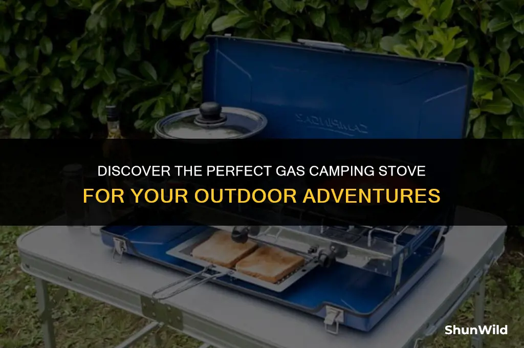 which gas camping stove