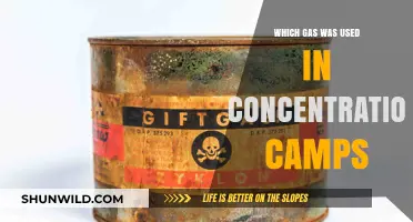 The Deadly Gas Used in Nazi Concentration Camps: Zyklon B
