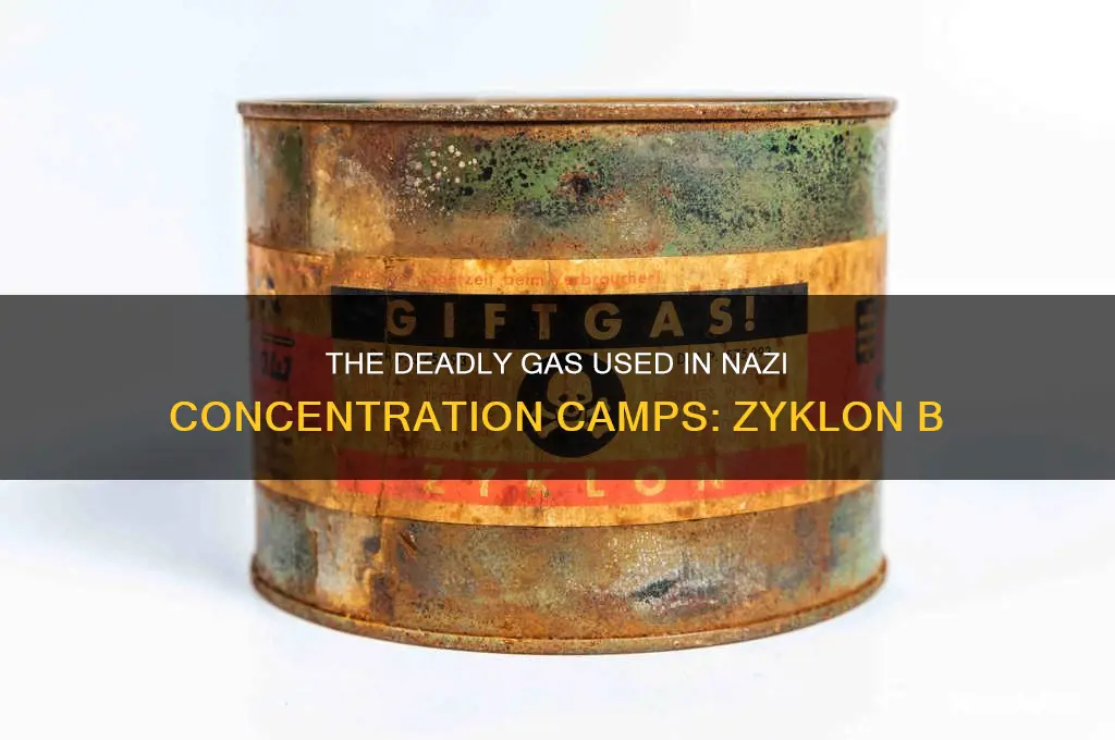 which gas was used in concentration camps