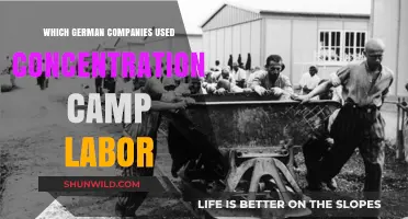German Companies Exploiting Concentration Camp Labor During World War II