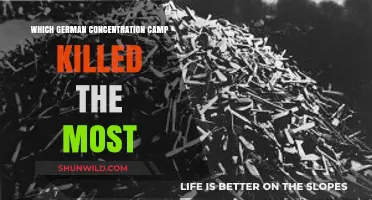 Deadliest German Concentration Camp: Auschwitz's Unmatched Atrocities and Toll