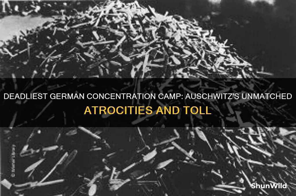 which german concentration camp killed the most