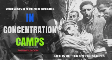 Groups Imprisoned in Concentration Camps: A Historical Overview