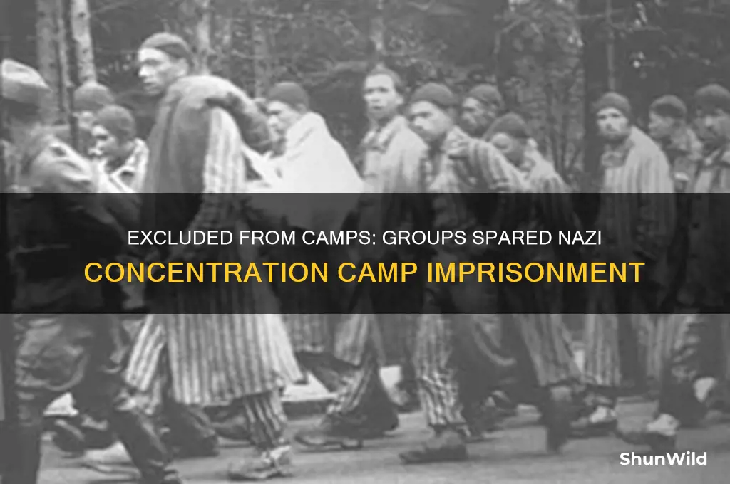 which group of people were not imprisoned in concentration camps