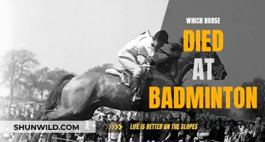 Badminton Horse Trials: The Tragic Loss of a Horse