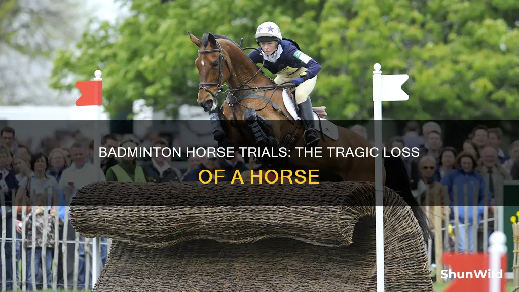 which horse died at badminton