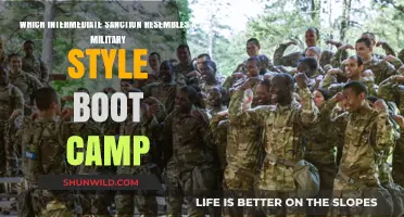 Military-Style Boot Camp: The Intermediate Sanction for Youth Offenders