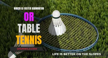 Badminton vs Table Tennis: Which Sport is Faster?