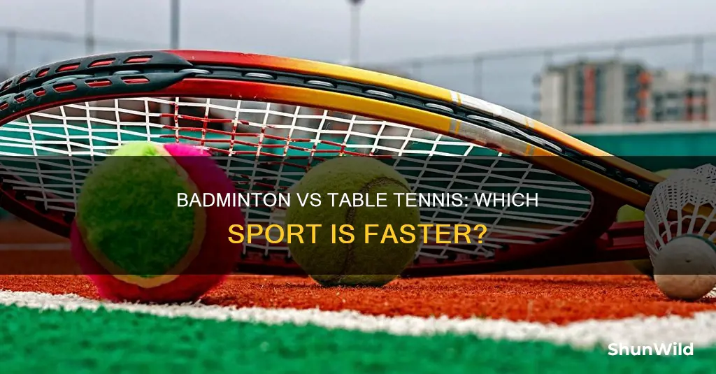 which is faster badminton or table tennis