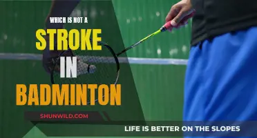Understanding Badminton Strokes: What's Not Allowed?