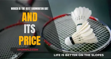 Badminton Rackets: Top Picks and Their Prices