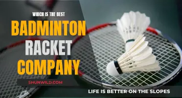 Badminton Rackets: The Best Brands for You