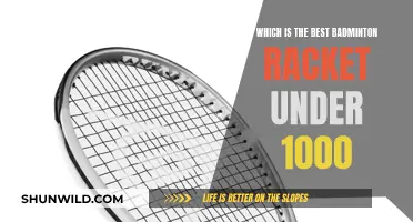 Best Badminton Rackets: Top Picks Under $1000