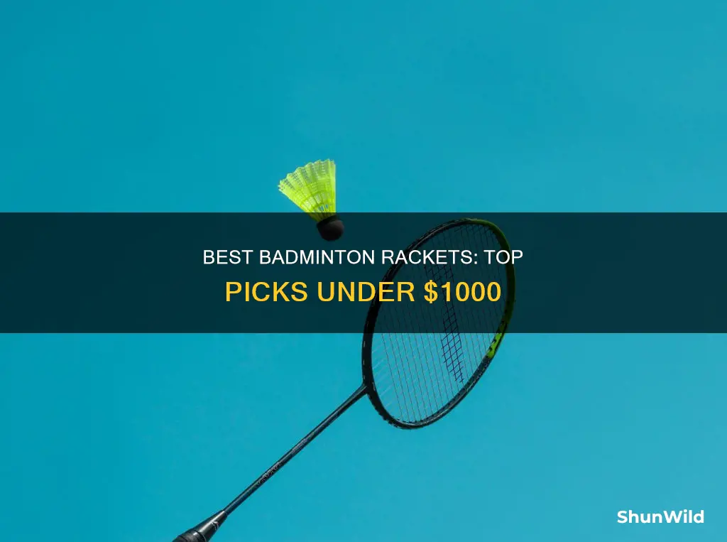 which is the best badminton racket under 1000
