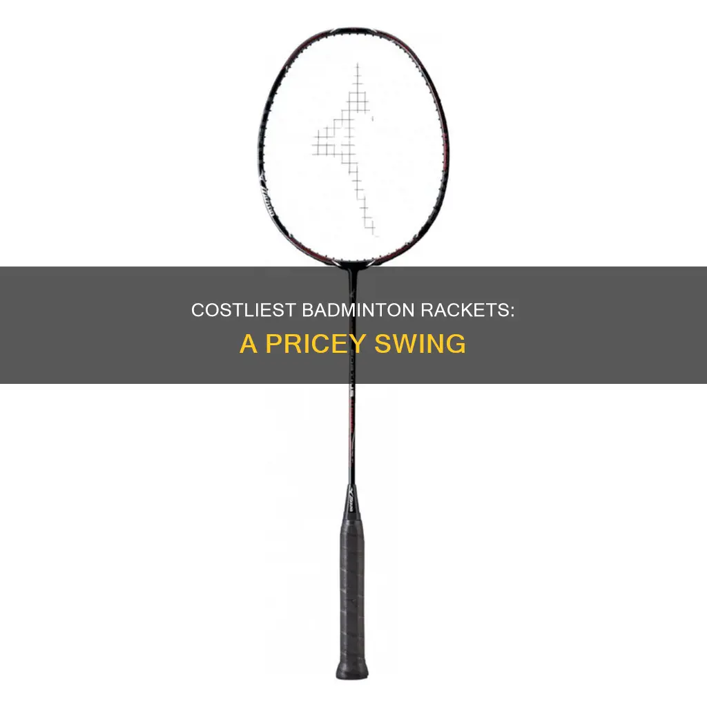 which is the most expensive badminton racket in the world