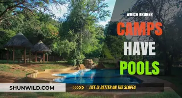 Exploring Kruger: Camps with Refreshing Pools to Unwind