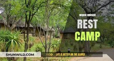 Exploring Kruger: A Guide to Choosing the Perfect Rest Camp