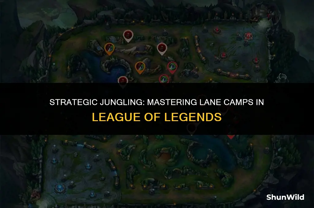 which lanes do junglers camp