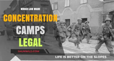 Legalizing Inhumanity: The Law That Enabled Concentration Camps