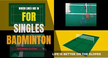 Badminton Singles: Understanding the Lines and Boundaries