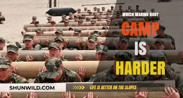 Marine Boot Camp Challenge: Which Location Tests Recruits the Hardest?