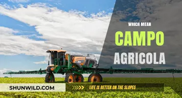 Exploring the Meaning and Significance of 'Campo Agrícola