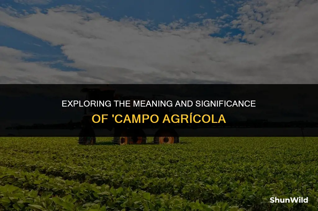 which mean campo agricola