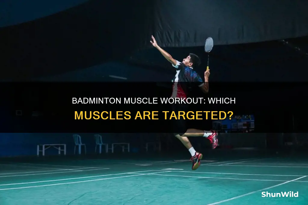which muscles are used in badminton