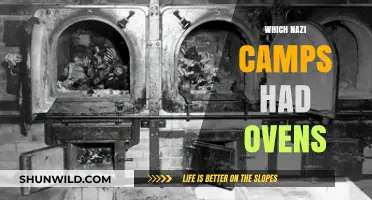 The Horrifying Truth: Nazi Camps and the Ovens of Genocide