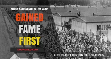 Dachau: The First Nazi Concentration Camp to Gain Infamy