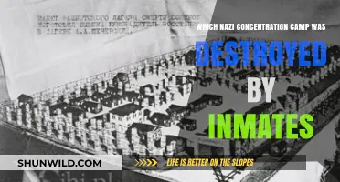 Inmates' Uprising: The Nazi Camp Destroyed from Within