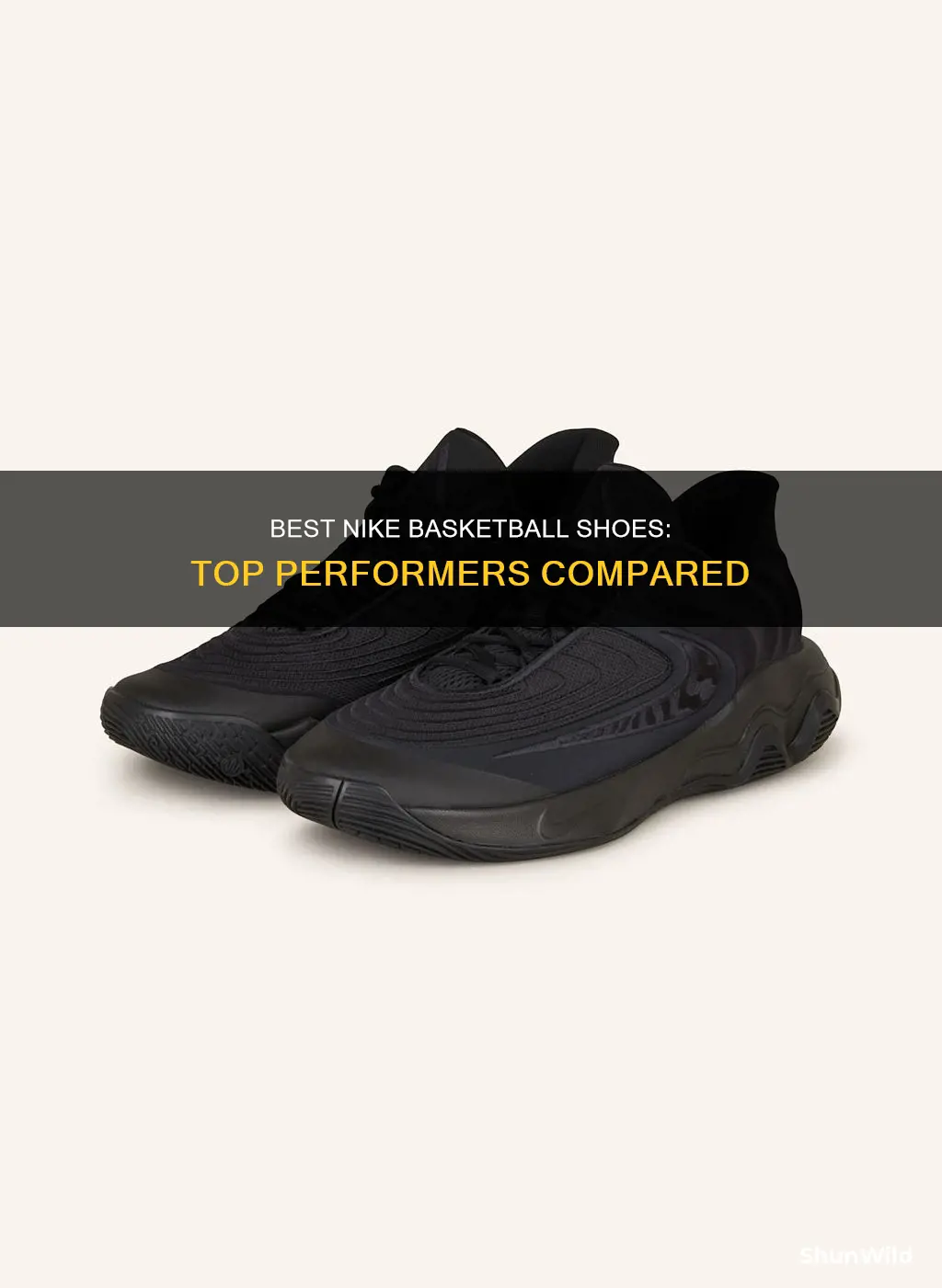 which nike basketball shoe is the best