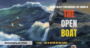 The Open Boat: Fateful Ending Foreshadowed by a Lifeless Object