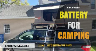 Powering Your Wilderness: The Ultimate Guide to Odyssey Batteries for Camping