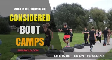 Understanding Boot Camps: What Programs Truly Fit the Definition?