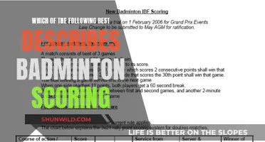 Badminton Scoring System: Understanding the Basics
